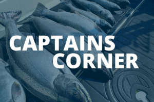 captains-corner-3 mcba-hm-more-fishing-reports