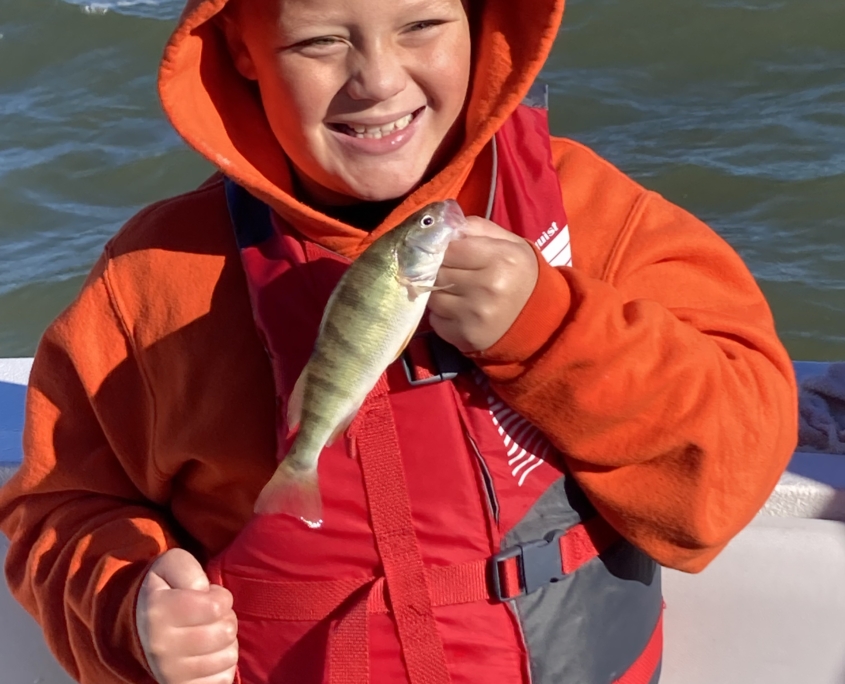 Michigan Perch fishing