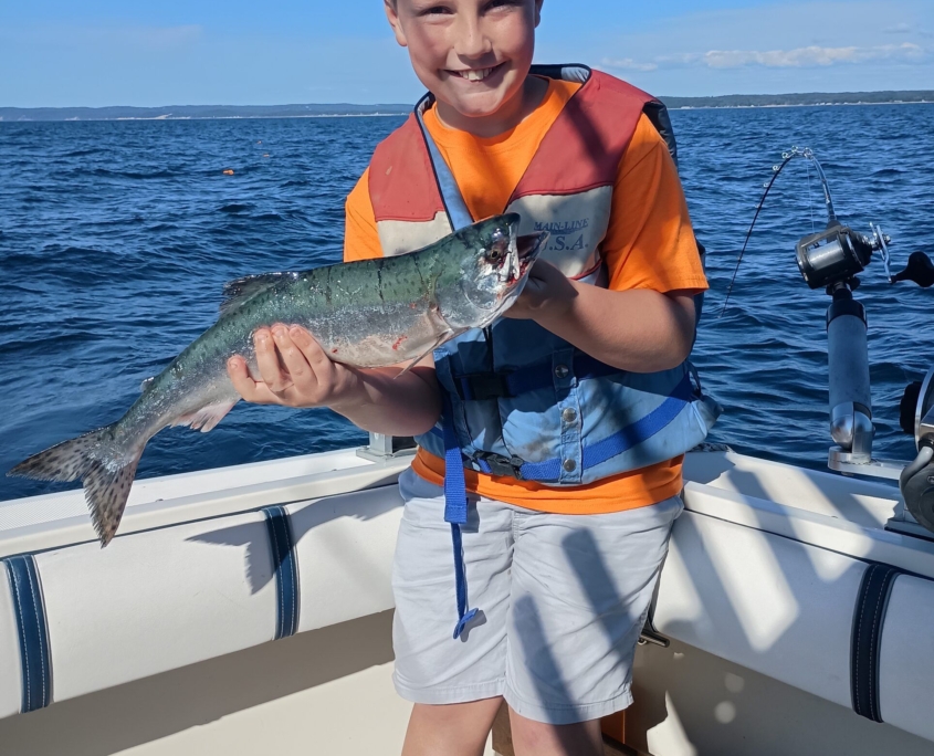 Lake Huron Coho Catch