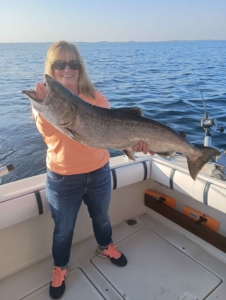Chinook-Salmon Lake Michigan Chinook salmon Catch