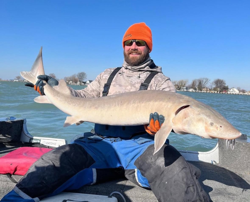 Sturgeon
