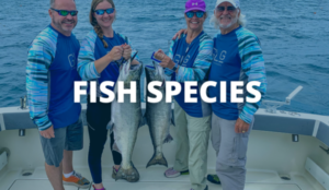 fish-species-hp fish specie hp button